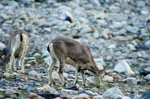 雨中的恋人 吉它曲 - 乐山论坛 - 四川论坛-麻辣