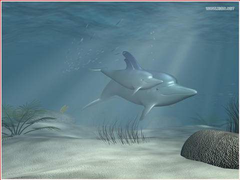 康佳、长虹、创维等国产品牌3D电视质量如何