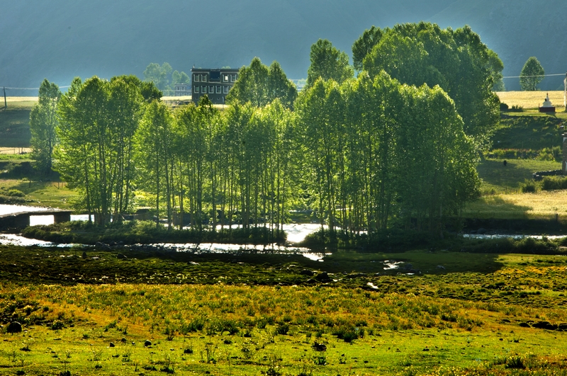 盛夏七月,摄影天堂新都桥风景如画