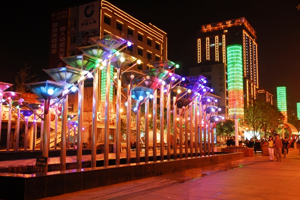 我可爱的家园    共    张图片;        更别说我大遂宁帝国的夜景了