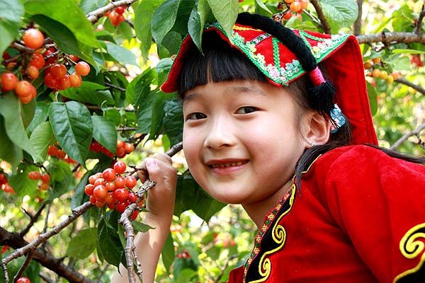 2012四川德昌第五届樱桃节4月9日启幕