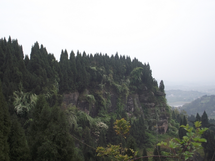 晚春小刺花-安岳论坛-麻辣社区 四川第一网络社区 你的言论 影响四川