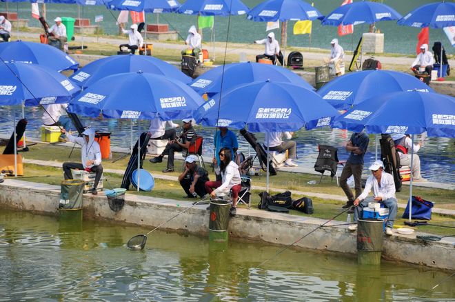 升钟湖钓鱼公开赛开打 200余选手钓鱼池竞技