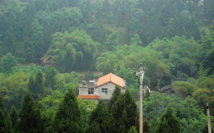 烟雨老林镇-营山论坛-麻辣社区 四川第一网络社区 你的言论 影响四川