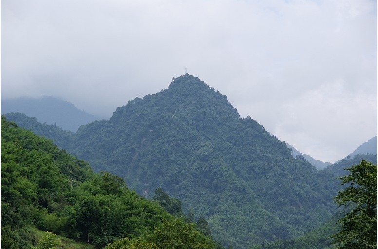 邛崃水口金山村—天下第一保旅游资源介绍-邛崃论坛-四川论坛-麻辣