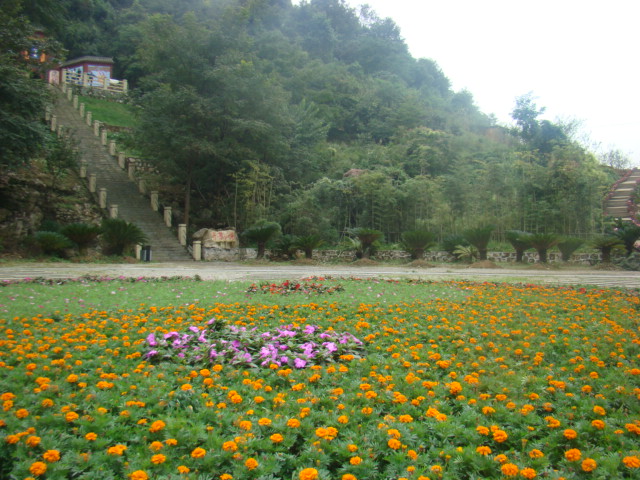 观四季爱情花海,听天籁之音,尽在江油天音风景区