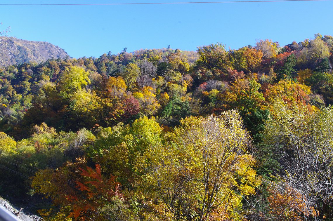 黑水彩林观赏时间(附11年图)-走遍四川-四川旅游景区