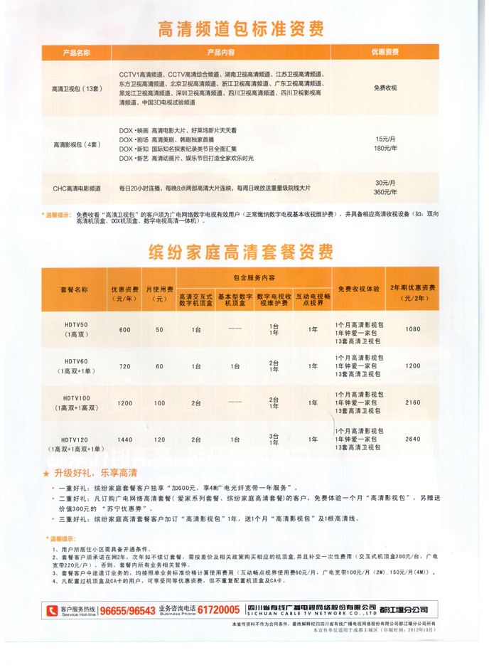 【关于广电网络述职报告】