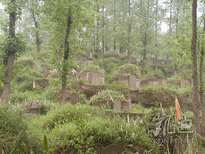 四川泸州惊现全国规模最大红卫兵墓群