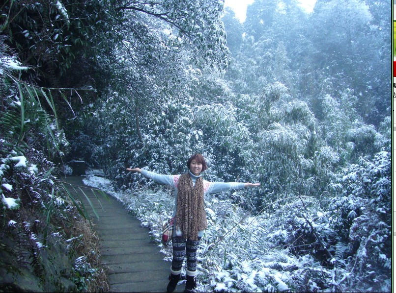 发点《永川——茶山竹海》的雪景