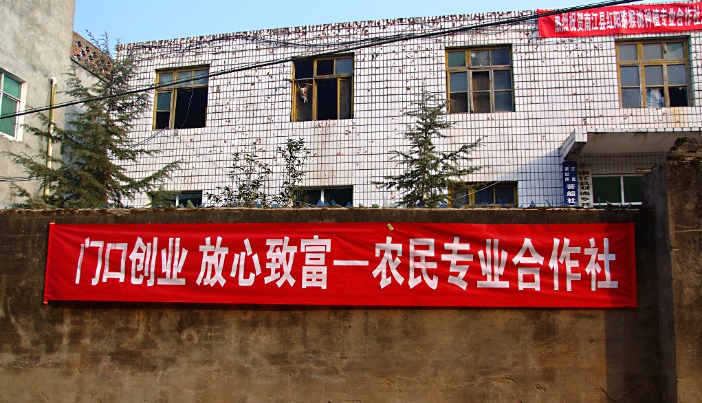 南江红阳猕猴桃种植专业合作社今天揭牌成立 