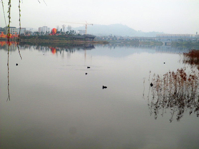 新年游岳池:东湖—外滩—翠湖