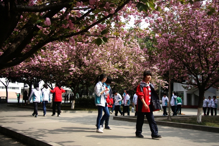 成都市大弯中学