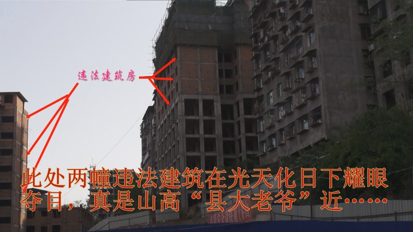 210826dn8e5qp880fg675l.jpg