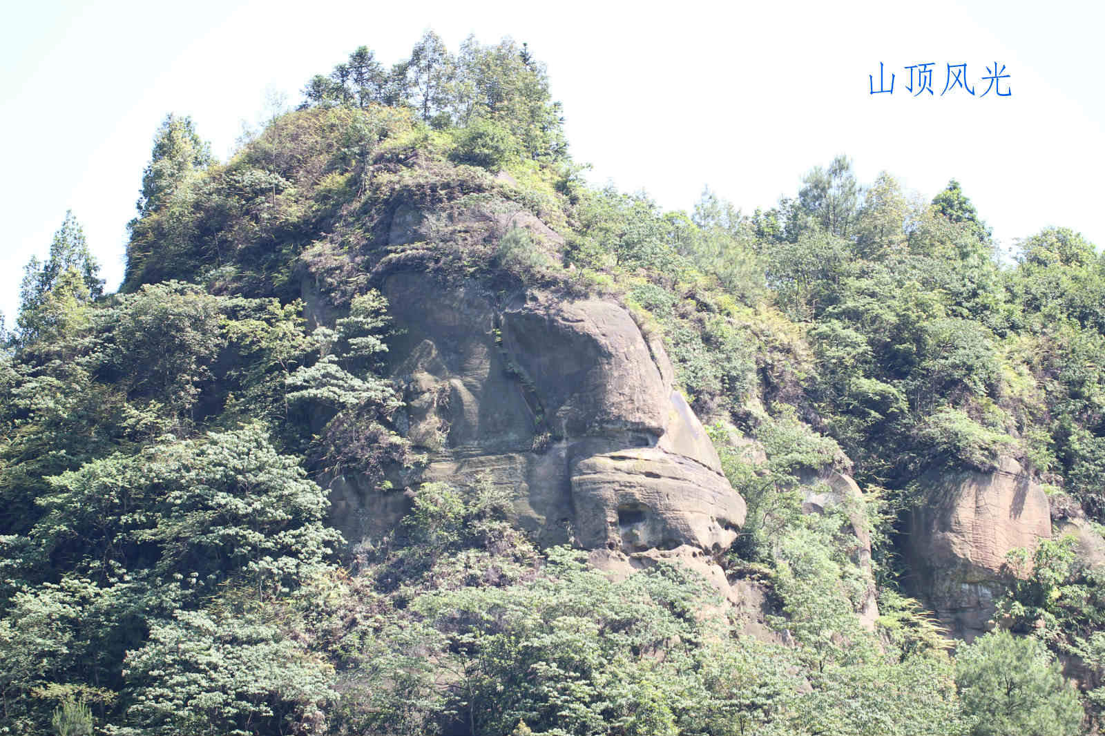 荣县花龙沟竹海风光