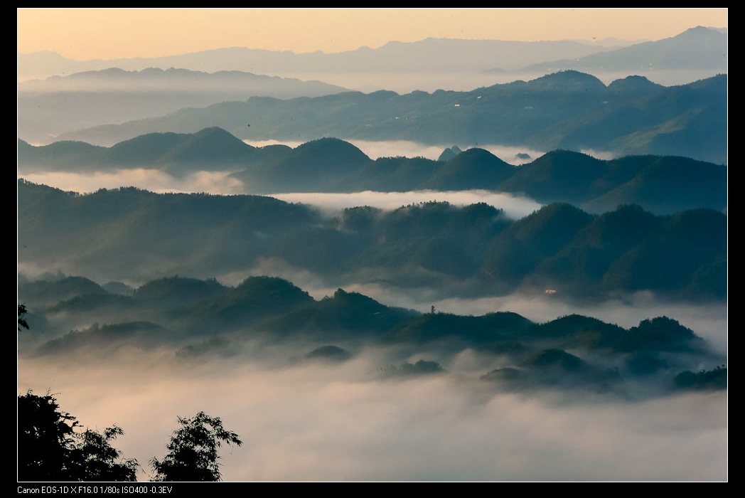 云遮雾绕百龟拜寿