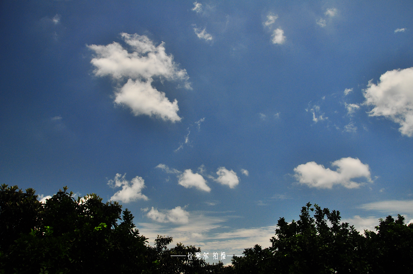 [原创·贴图 雨过后天空更晴朗