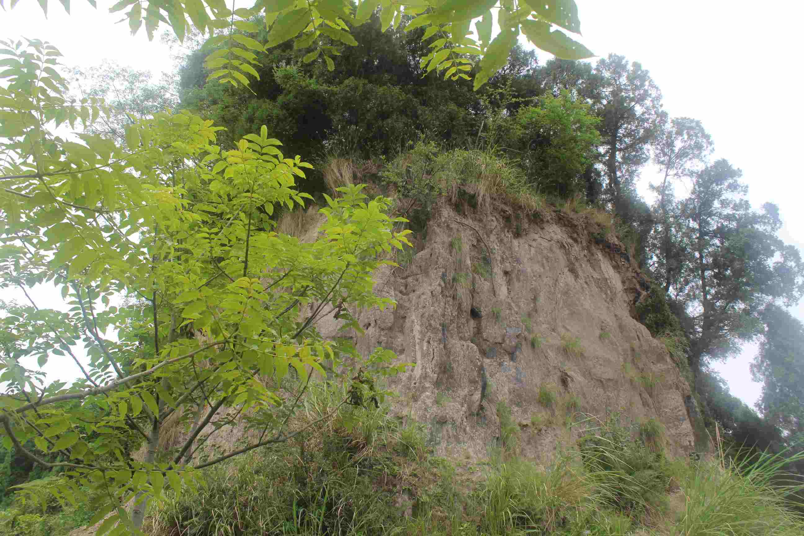 临江寨子山盐亭寨子山