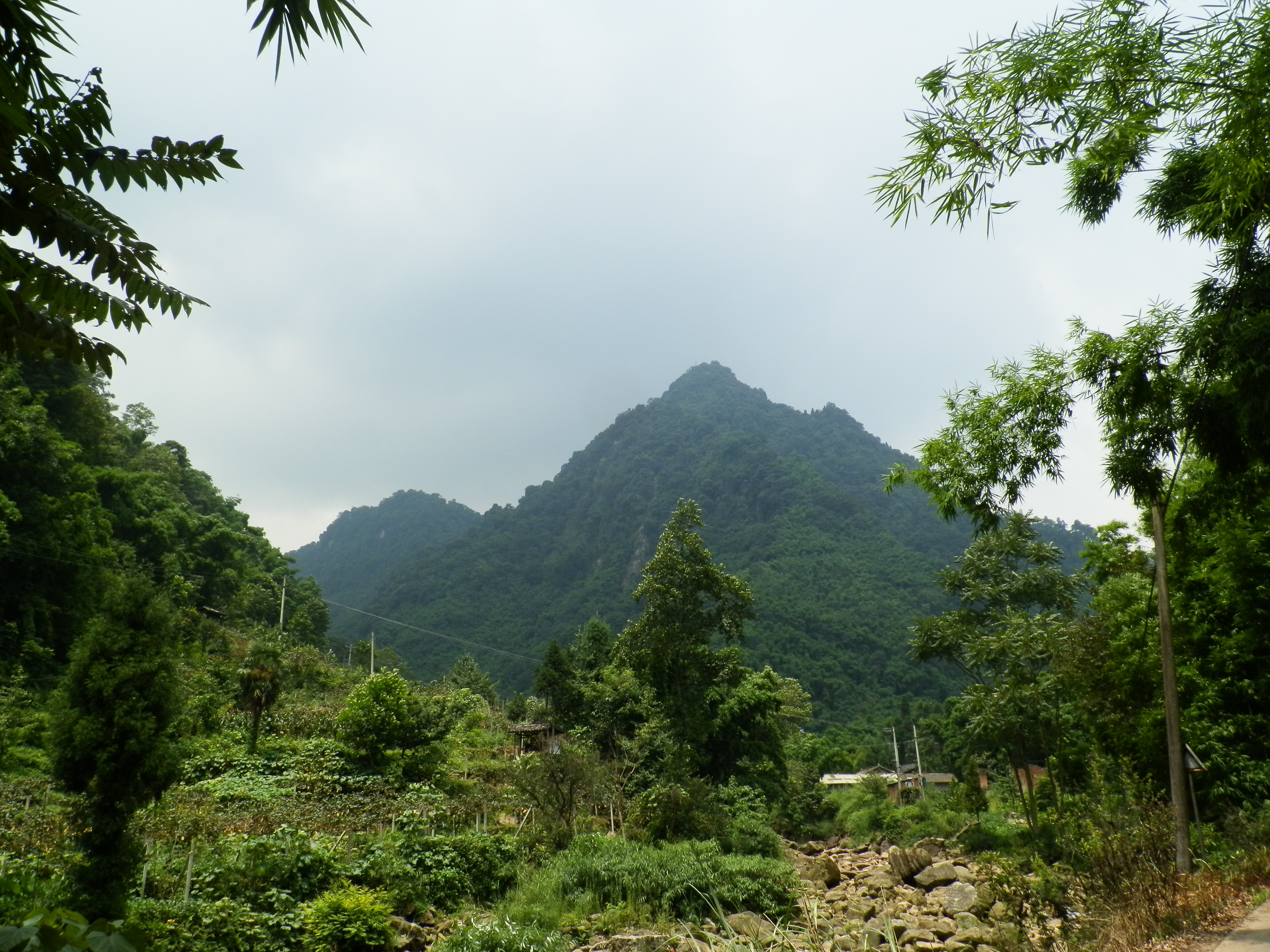 邛崃水口镇金山村游记-走遍四川-四川旅游景区-四川论坛-麻辣社区