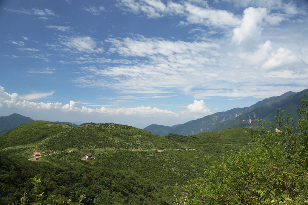 汉源—泥巴山-走遍四川-麻辣社区 四川第一网络社区 你的言论 影响