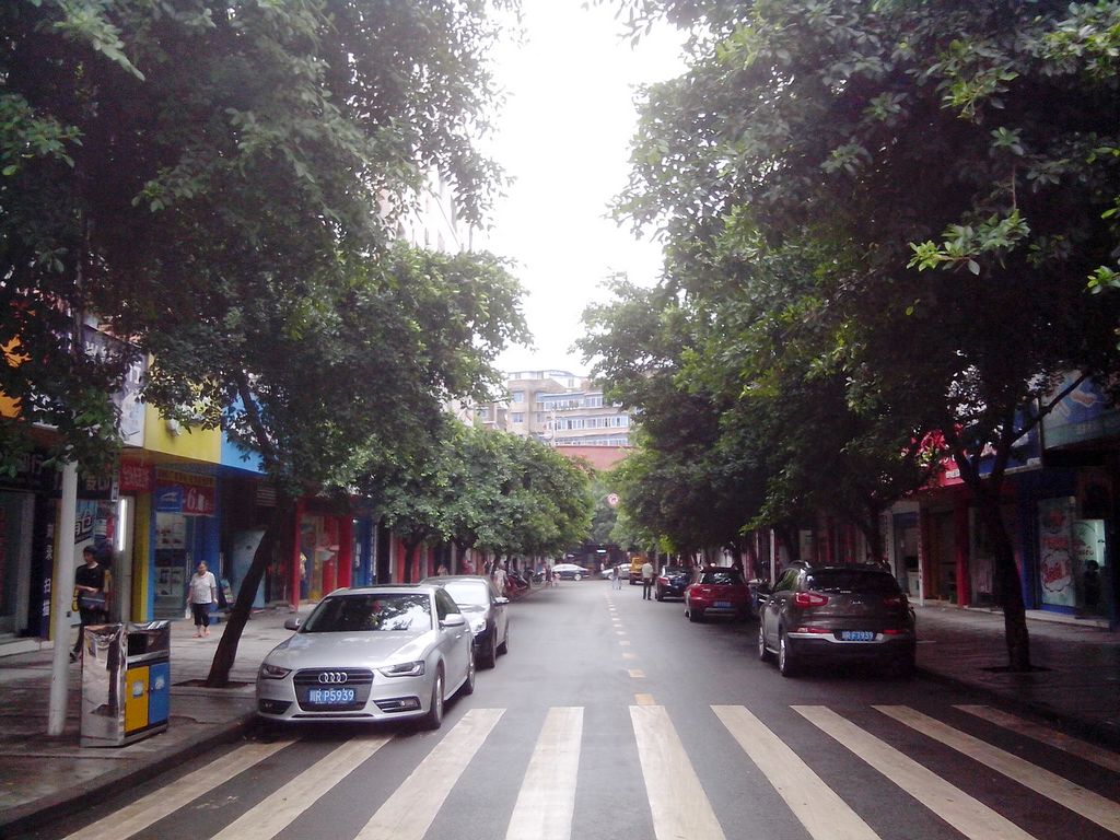 蓬安县城街景绿化组图(三)