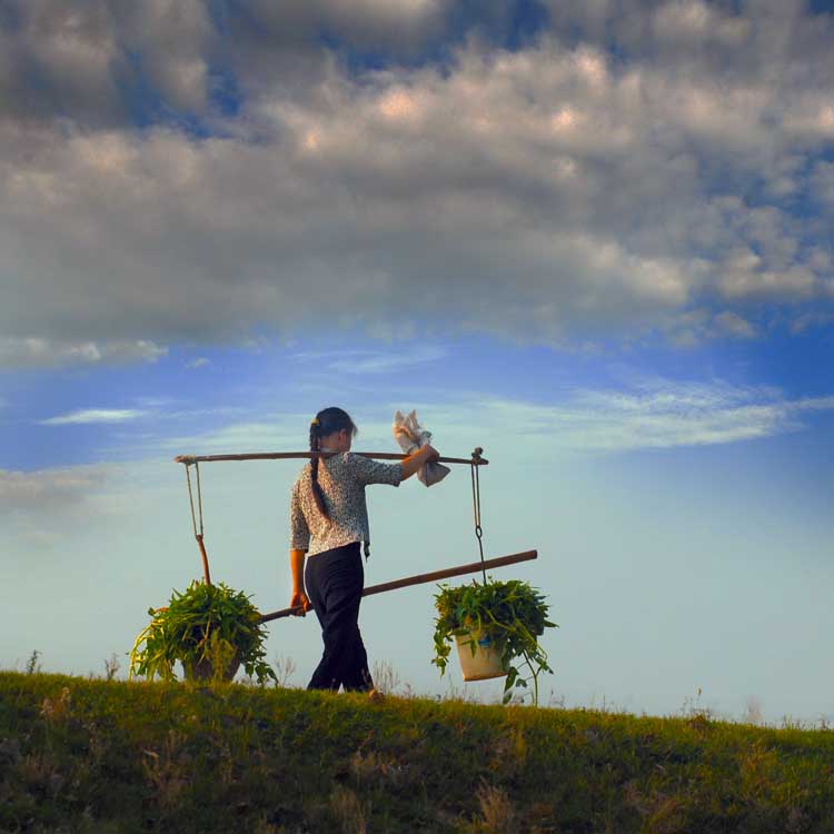 三唱《<em>乡里妹子</em>进城来》(配图) (宋树初)-文学沙