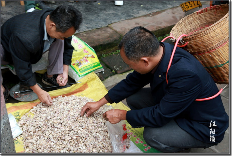 汉阳镇-走遍四川-麻辣社区 四川第一网络社区 你的言论 影响四川