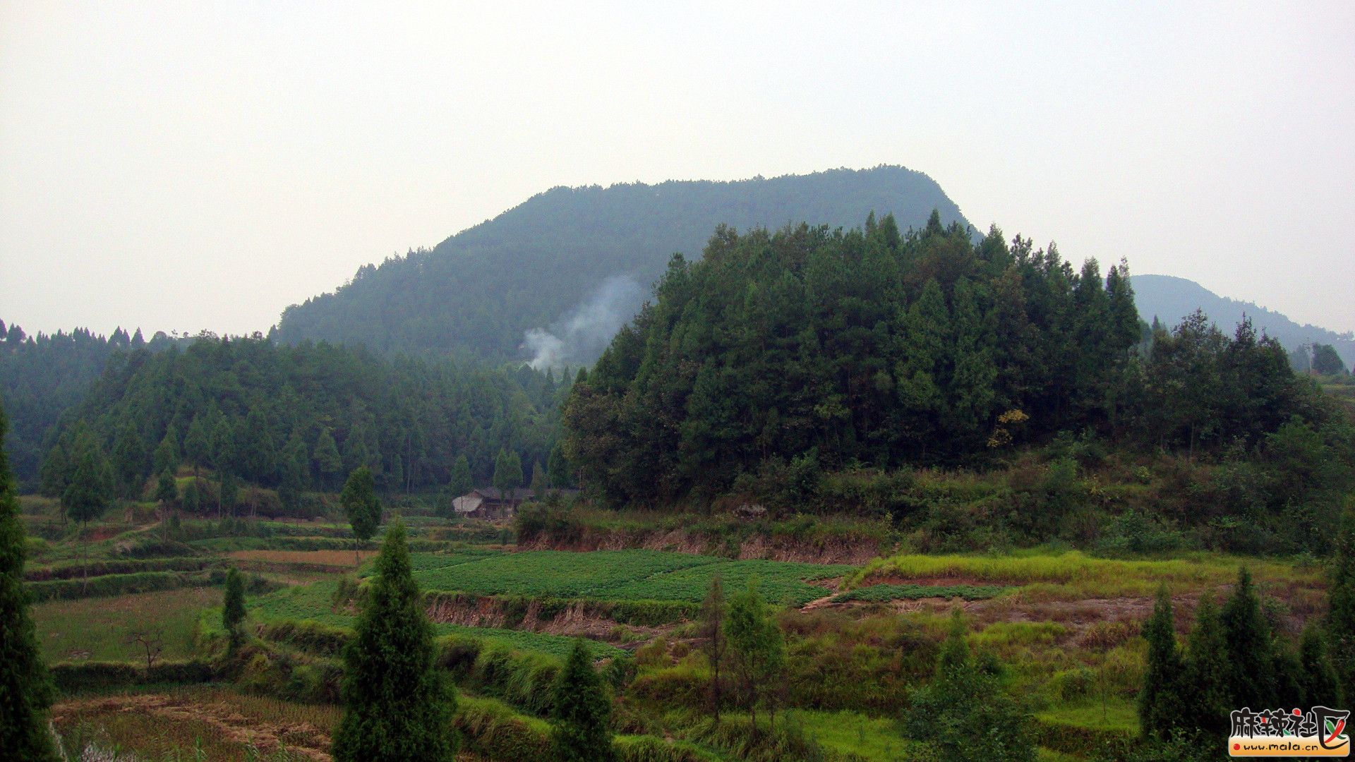 【原创】绿色恩阳,魅力玉山-巴中论坛-四川论坛-麻辣