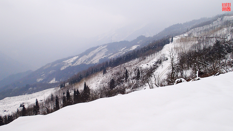 608469726_梦幻雪之缘家具 img.mala.cn 宽800x450高