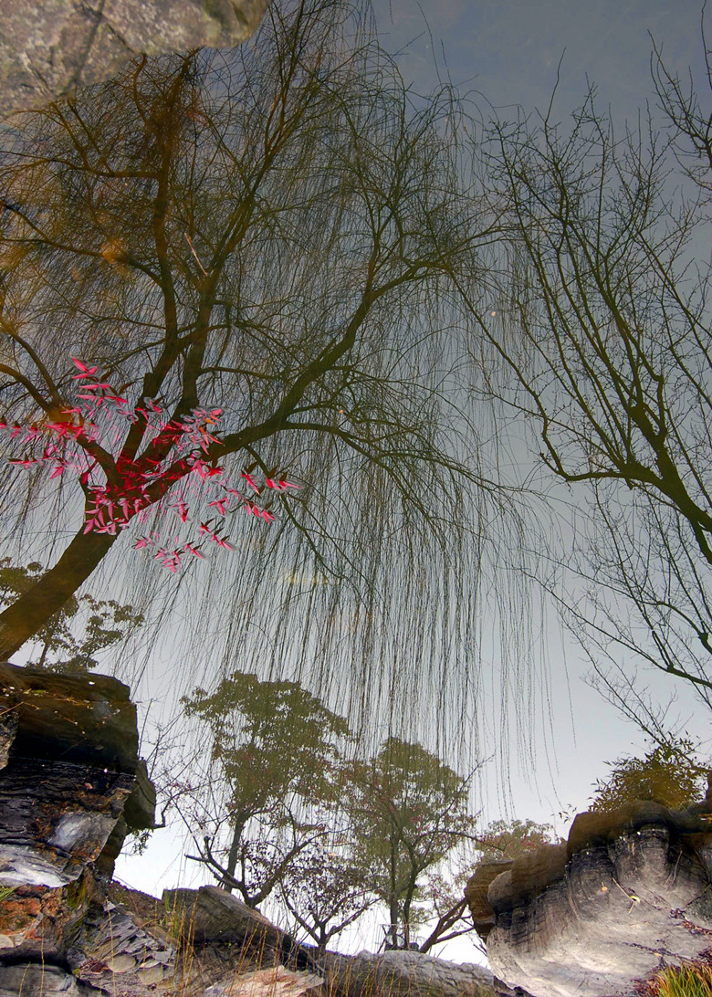 花非花雾非雾