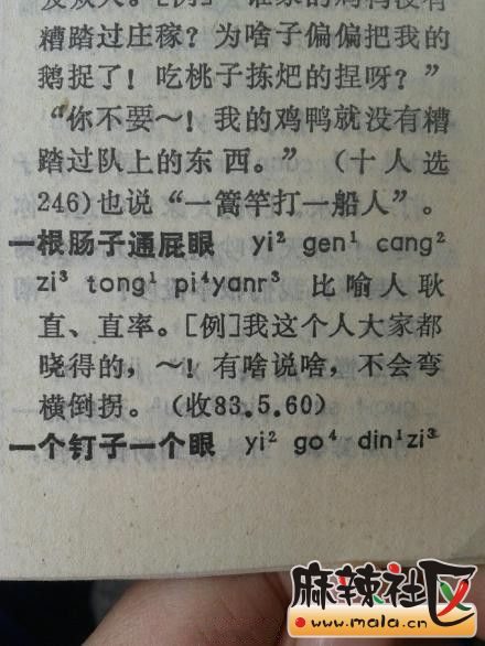 成都方言字典!精辟+简单+高深-成都论坛-四川