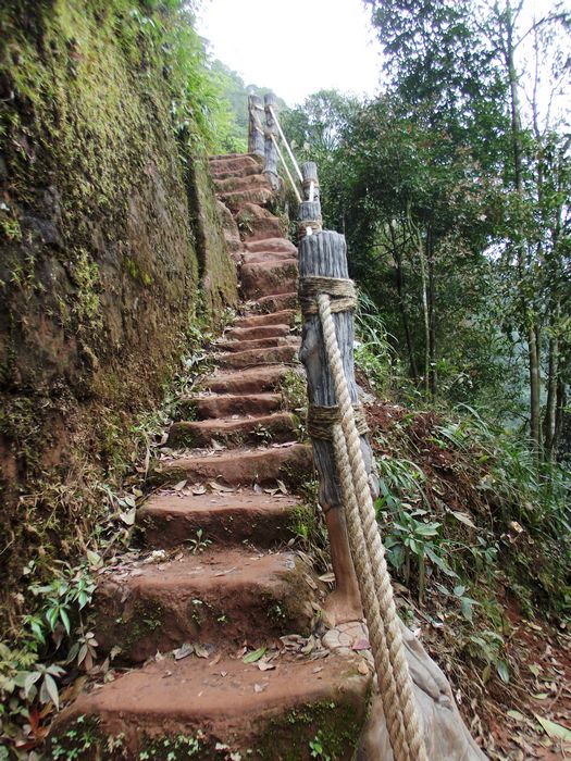 登四面山爱情天梯