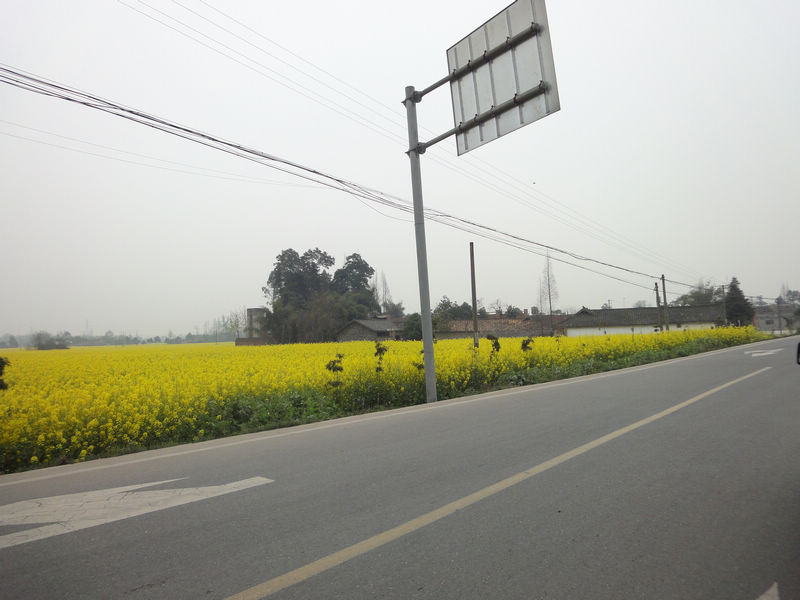 最美乡村公路-崇州重庆路