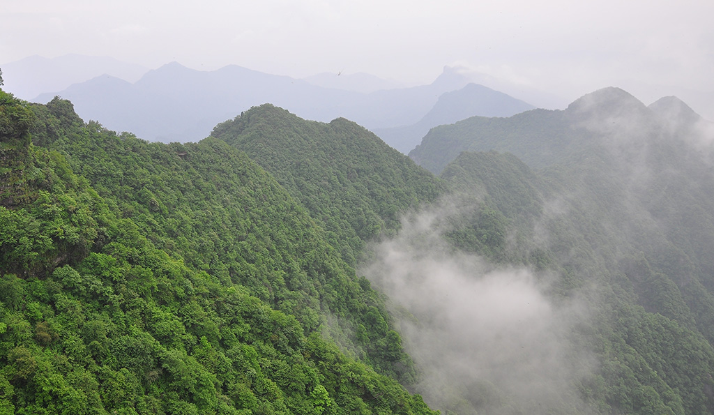 香炉山图片大全 230850bqxaf2sxwx9ycywc.jpg