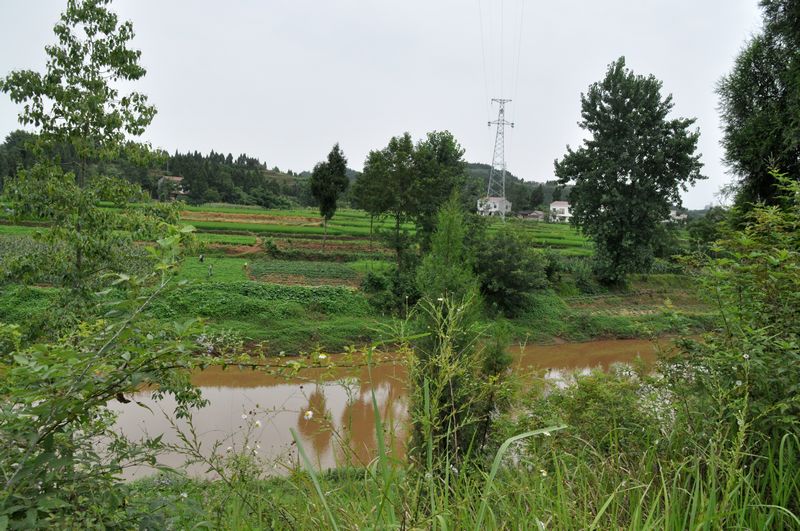 关于对在罐子坝村拟建殡仪馆火葬场的建议