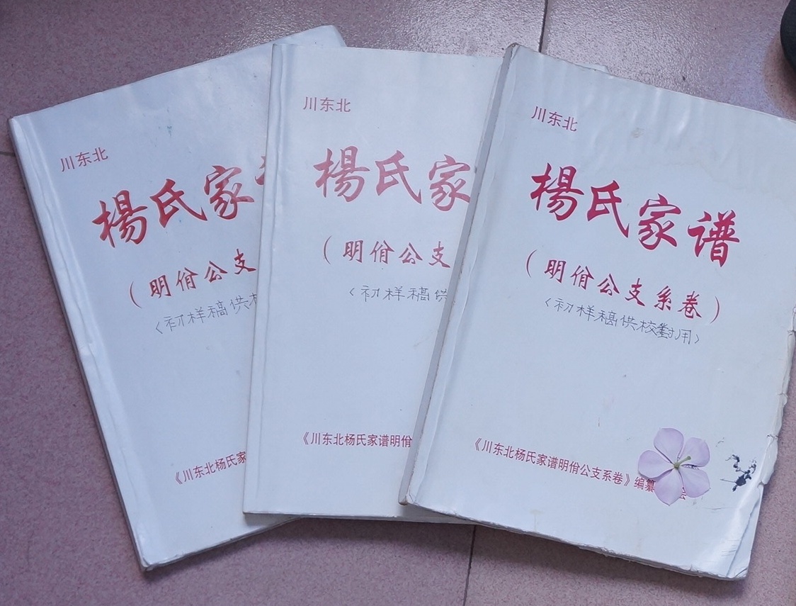 杨氏家谱-巴中论坛-麻辣社区 四川第一网络社区 你的