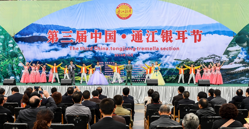 第三届中国·通江银耳节掠影