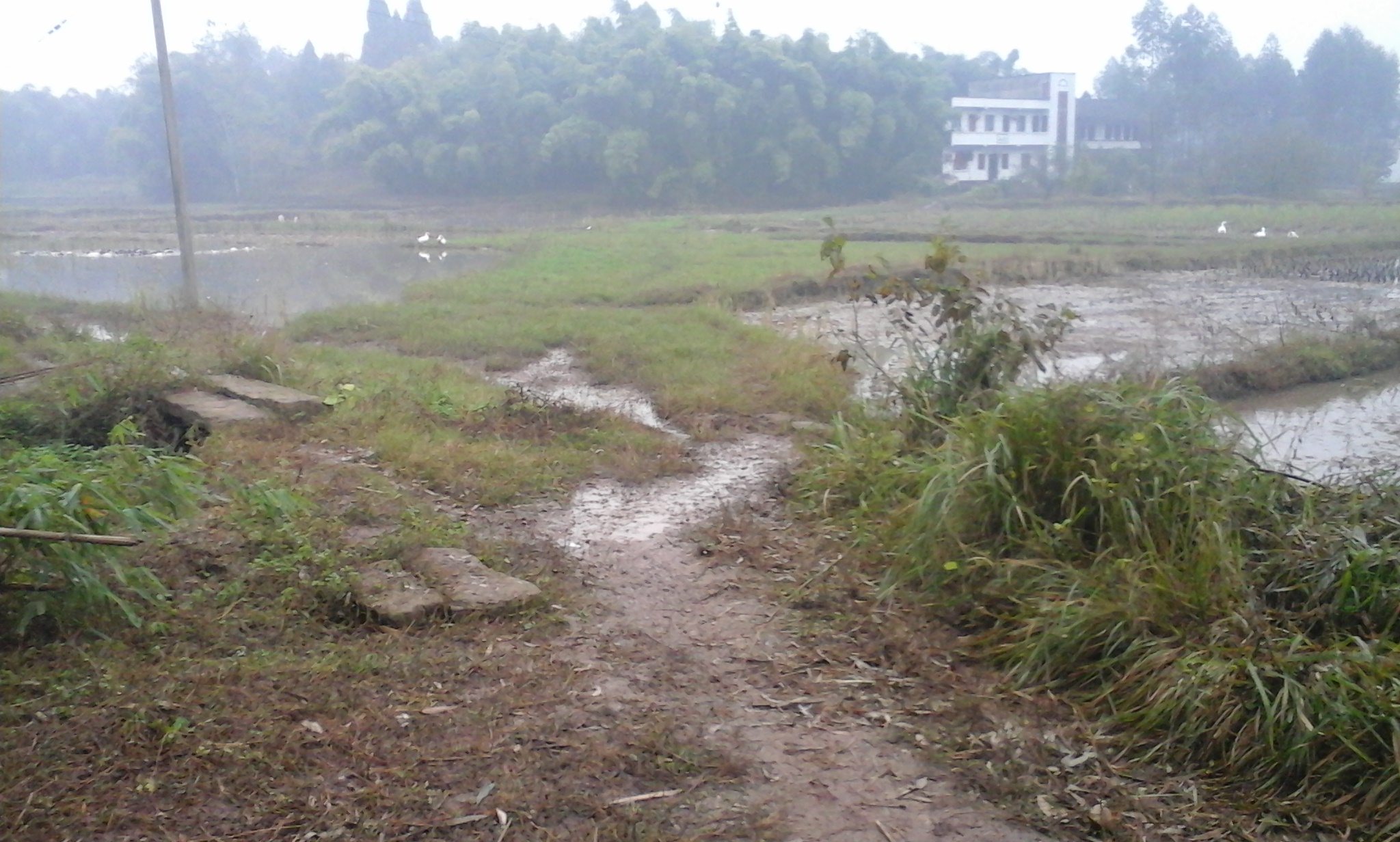 家乡泥土公路