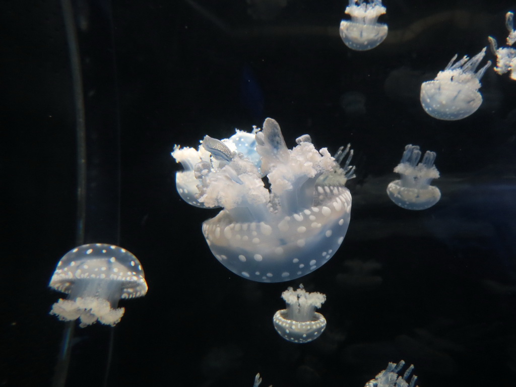 啥叫美伦美奂看过才知道-西充论坛-四川论坛