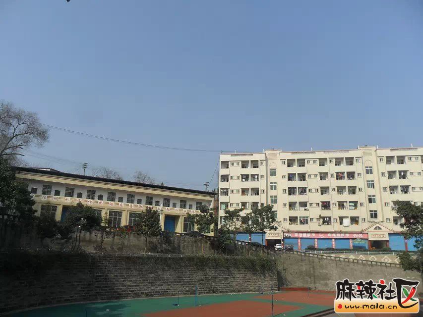 蓬安县周口中学全貌