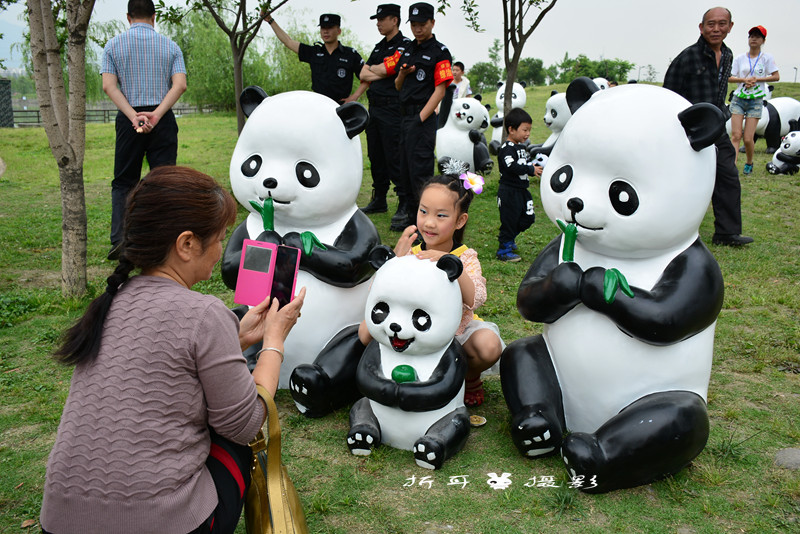 都江堰首届大熊猫花车巡游花絮(上传中!