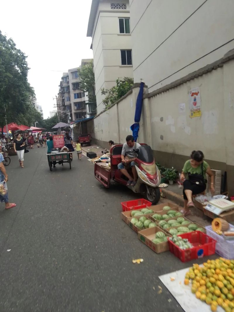 杨恩林被免德阳副市长职务