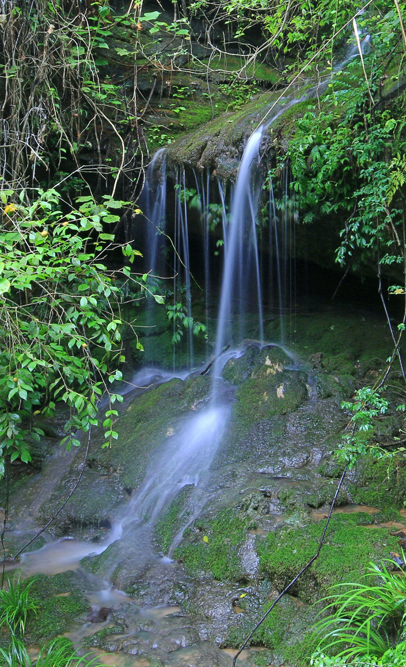 小溪流水