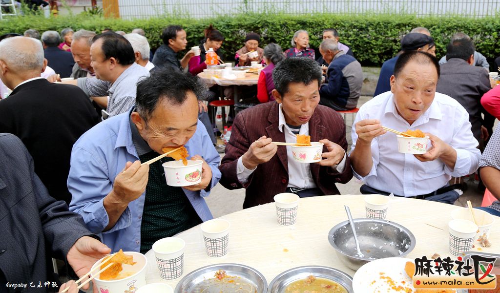 千人宴席"西水县"---南部县保城乡孝亲敬老暨农民文化艺术节掠影