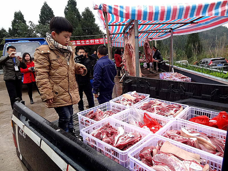 西充 凤鸣园 首届年猪宰杀节 买野猪肉 吃砣砣肉 回想家乡的味道