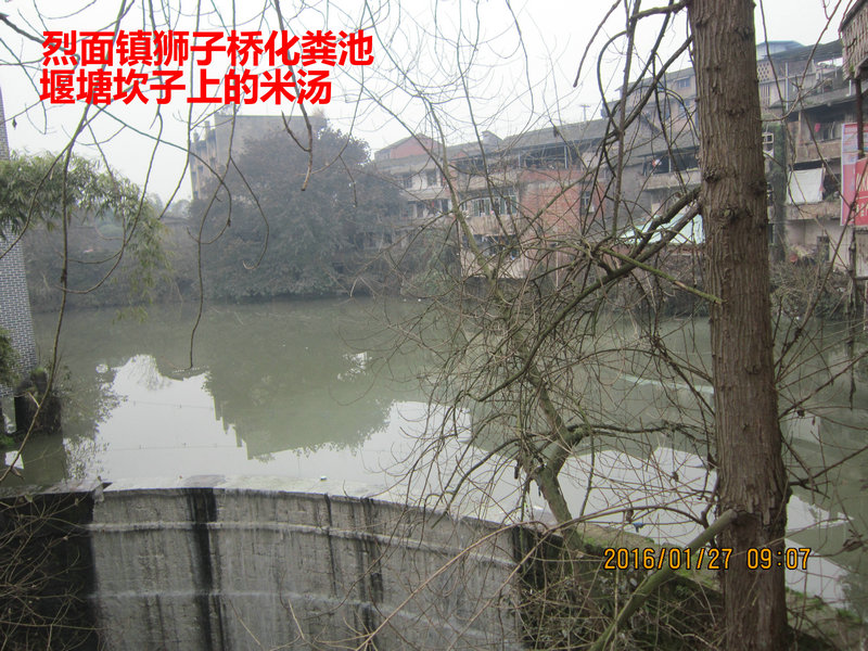 谁来为此买单 直击网曝武胜县烈面镇"脏乱差"成顽疾-广安论坛-麻辣
