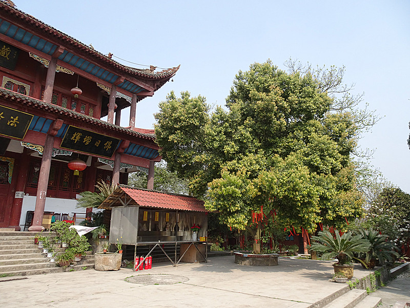 南充古八景之一 朱凤朝霞 三面环水的朱凤寺又建大雄宝殿