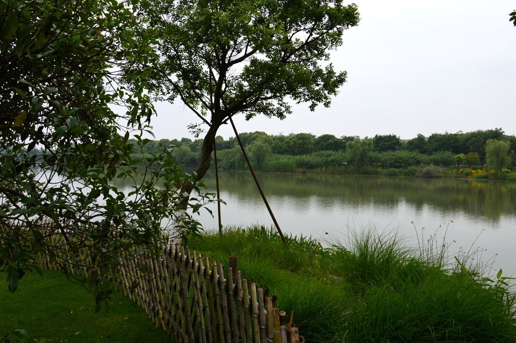 (纪实实拍组图)昆山花桥天福国家生态湿地公园
