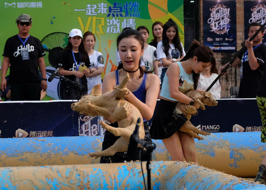 节目在包豪斯广场现场直播,其中有一项节目是让美女从泥池里抓猪比赛