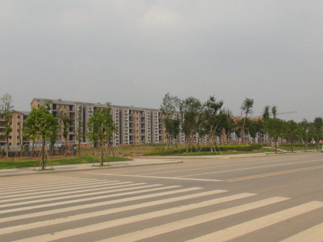 西充政府官不作为,践踏民生,拆建百姓房后五年多无着落,百姓流离失所